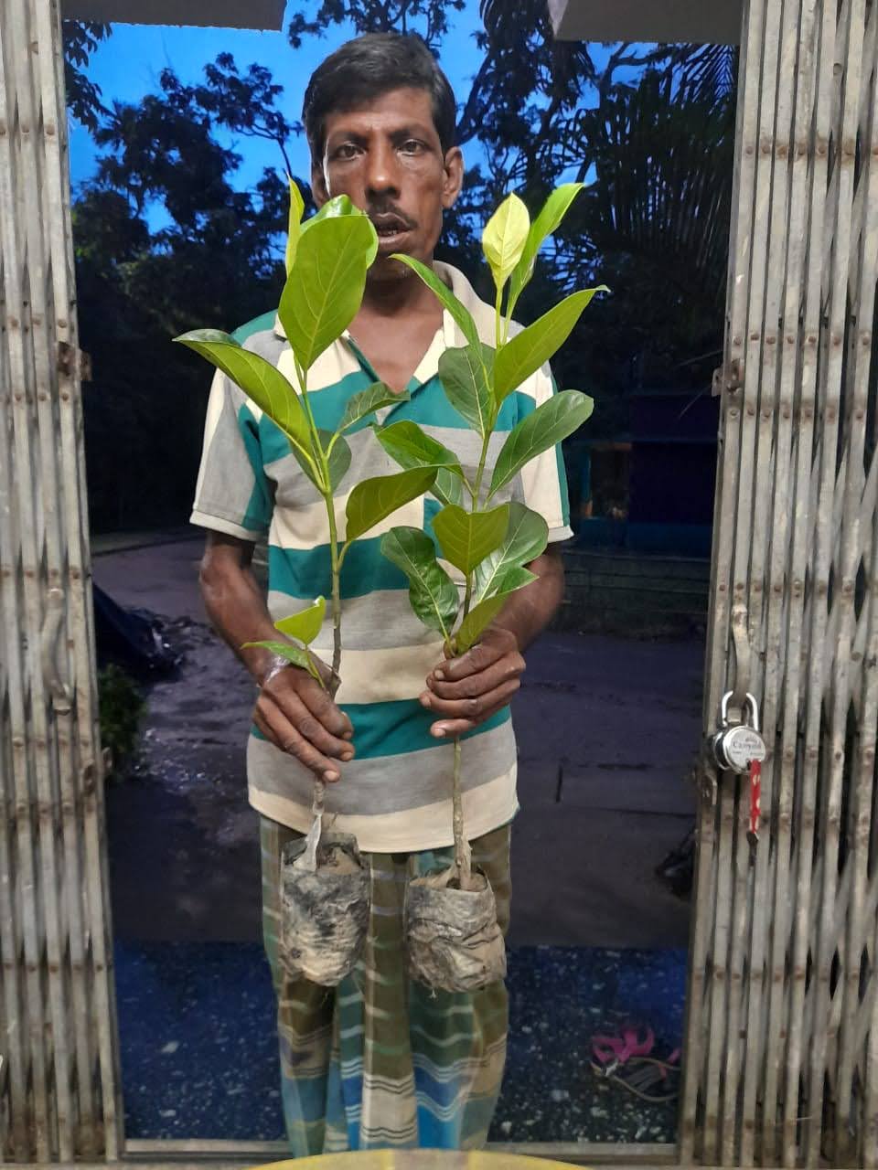 Shree Tirupati hariyali Paudhshala